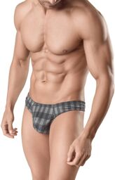 String Aegis Gris
