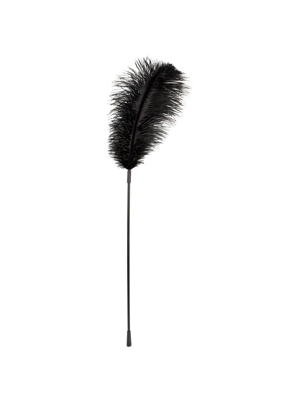 Grand Plumeau Noir