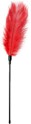 Chatouilleur de plumes rouges