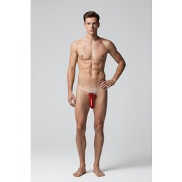 - Santa’s Secret Package