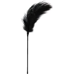 Fouet à plumes noir