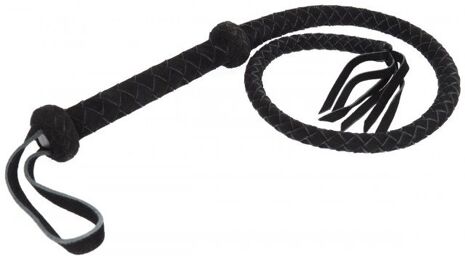 Fouet de toureau, petit