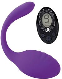 Oeuf Vibrant Télécommandé Smart Dream II Violet