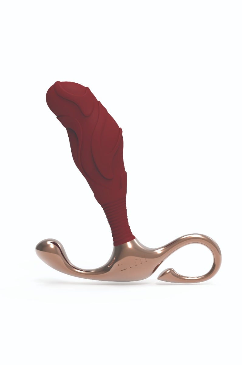 Stimulateur Prostatique Janus