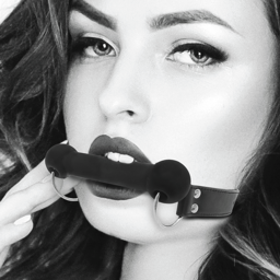 Bâillon Silicone Bit Gag