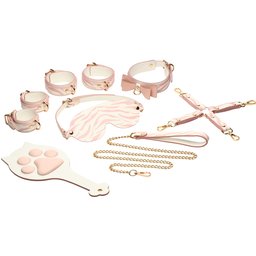 Pink Kitty Ensemble Bondage