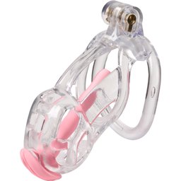 Guardian Chastity Cage Clear