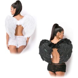 Ailes D'ange