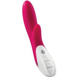 - Vibromasseur Danny Divido Rose