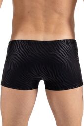 Boxer noir & gold Zebra Black/Zébré Gold