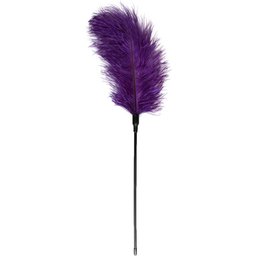 Fouet à plumes violet
