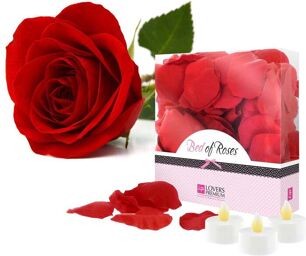 Pétales de Roses et Bougies LED Rouge