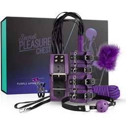 Coffret BDSM débutant·es 10 accessoires - Violet