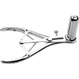 Speculum Anal