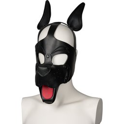 Playful Pup Cagoule