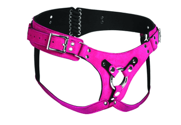 Harnais Deluxe - Leather Corset Harness - Purple