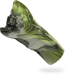 steropes cyclops masturbateur mâle bouche