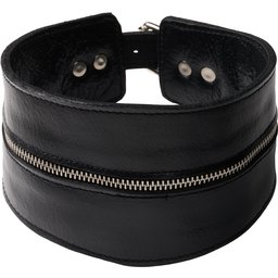 Leather Collier à Col Montant et Fermeture Éclair