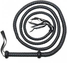 Fouet 250 cm