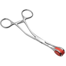 Pinces Forceps en Acier Inoxydable