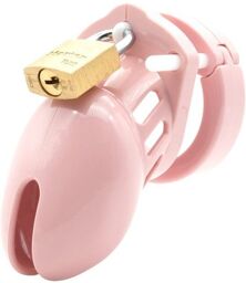 Kit de chasteté pour pénis CB6000 Small Rose