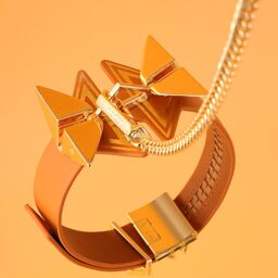 Collier de Posture Marron