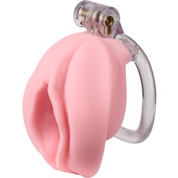 Pussyfyer Cage de Chasteté