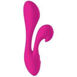 Swan - The Silhouette Swan Pink