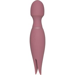 Wand and Teaser Vibromasseur