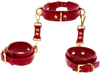 Collier D-Ring avec Menottes de poignets Rouge