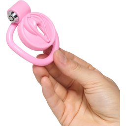 Pussification Vulva Locking Cage de Chasteté