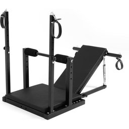 Restraint Chair - Low