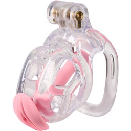 Guardian Cage de Chasteté