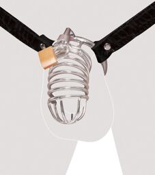 Cage de chastetée Chastity Belt