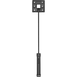 E-Stim Cravache