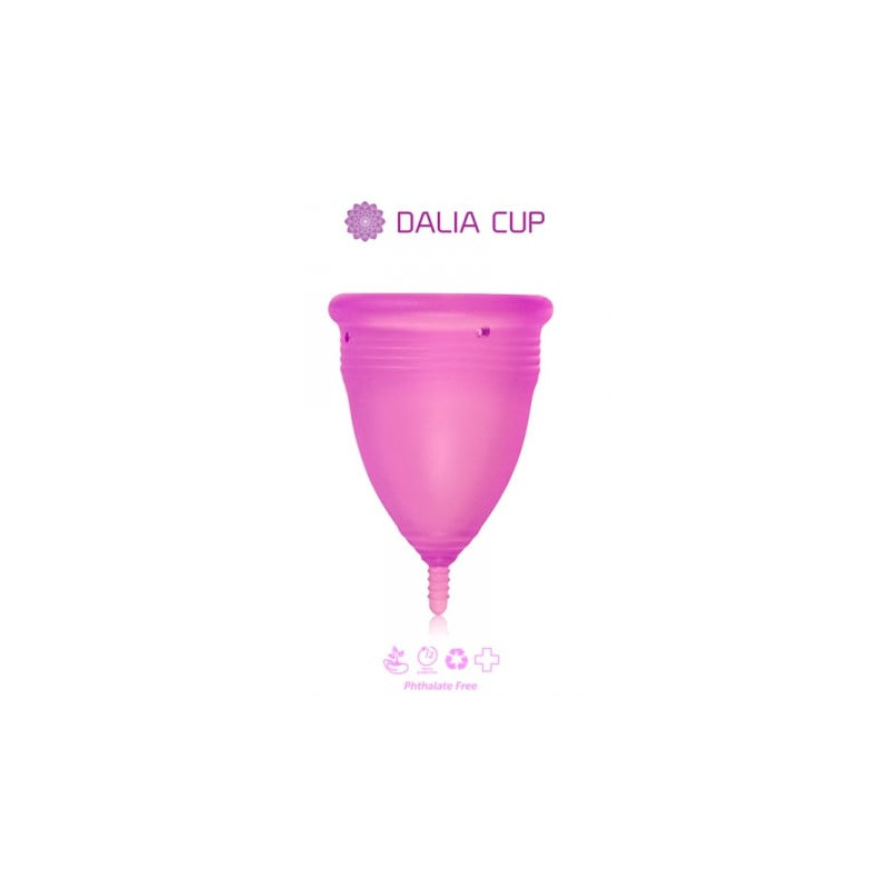 Cup