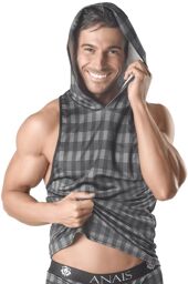 Hoodie Aegis Gris
