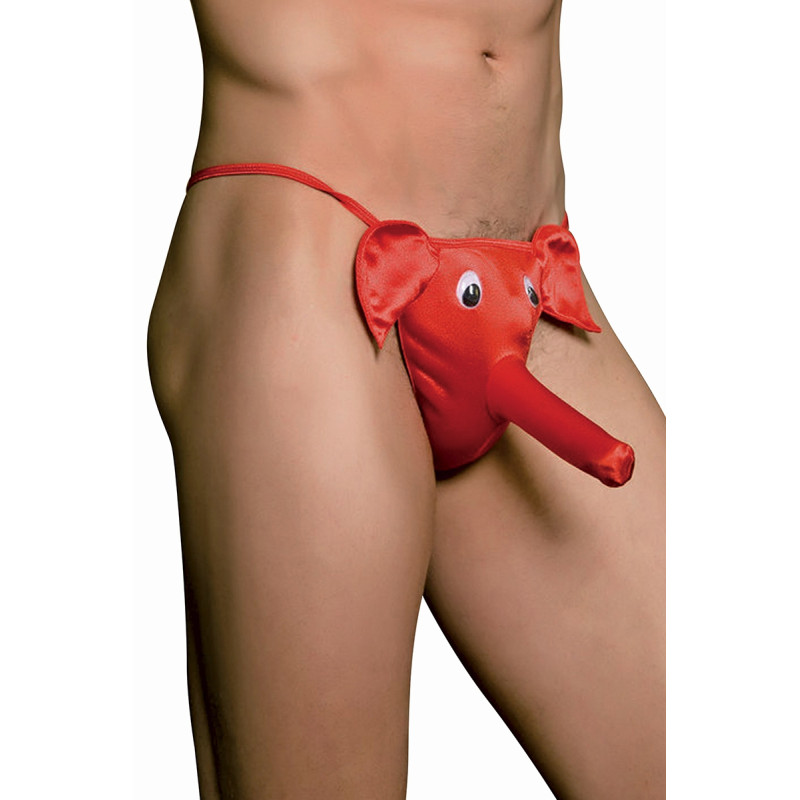 Cache sexe éléphant