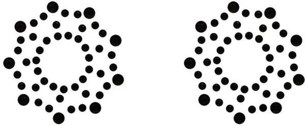 Nippies Etoiles Noires Strass Noir