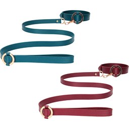 Collier avec Laisse Halo