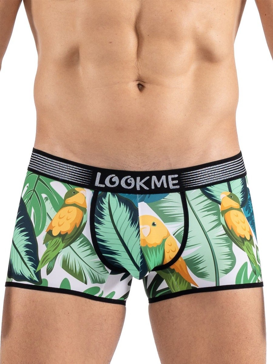 Boxer Bird Singer XL