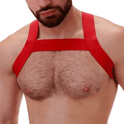 Harnais Élastique MATT Rouge