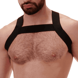 Harnais élastique Matt Noir