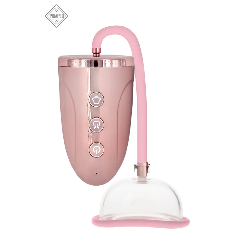 Pompe à vagin Rechargeable