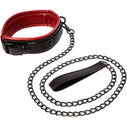 – SAFFRON Leash & Collar – Noir