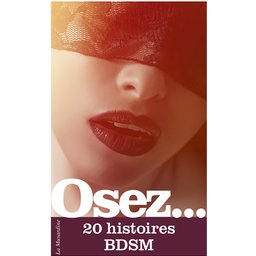 Osez 20 Histoires BDSM