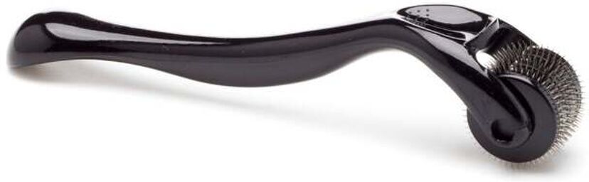 Roulette de Wartenberg Wheel of Pleasure Noir