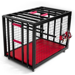 BDSM Cage