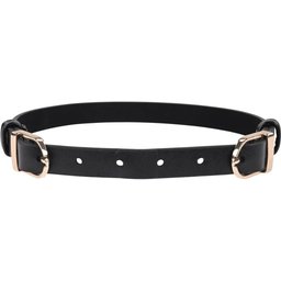 - Sex & Mischief Double Buckle Day Collar