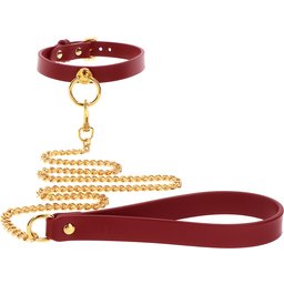 Collier Laisse avec Anneau et Chaîne